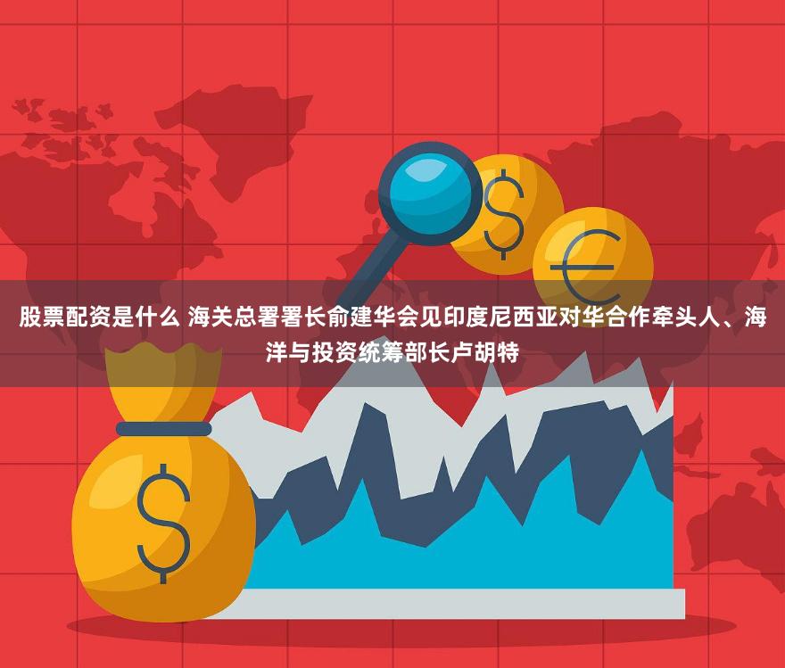 股票配资是什么 海关总署署长俞建华会见印度尼西亚对华合作牵头人、海洋与投资统筹部长卢胡特