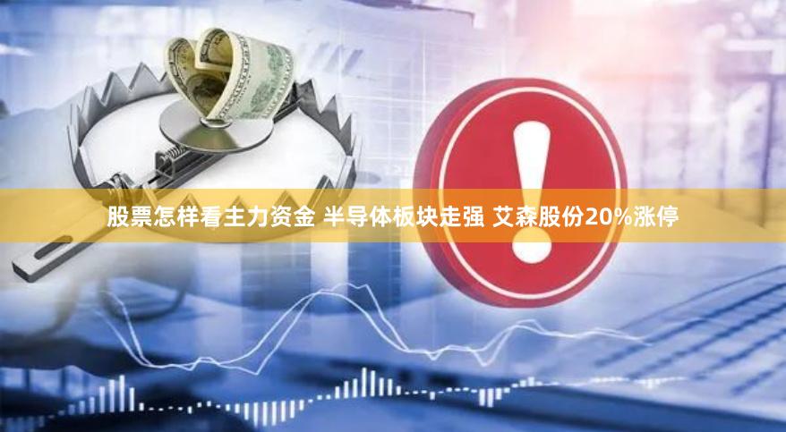 股票怎样看主力资金 半导体板块走强 艾森股份20%涨停