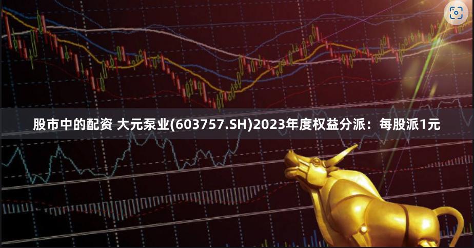 股市中的配资 大元泵业(603757.SH)2023年度权益分派：每股派1元