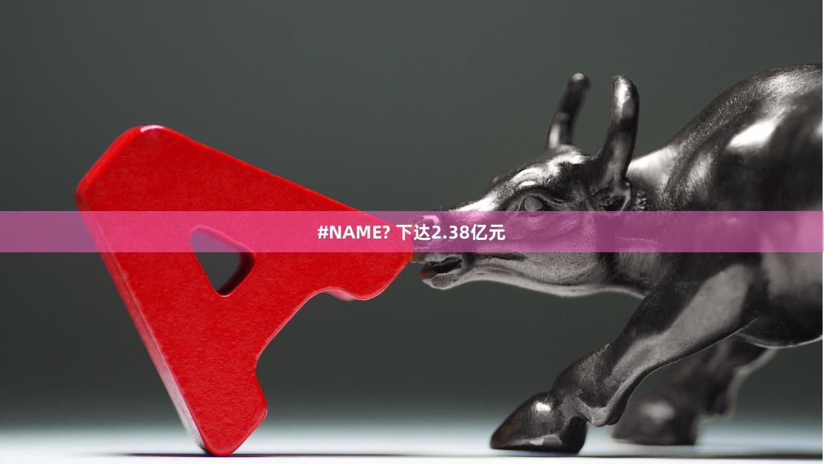 #NAME? 下达2.38亿元