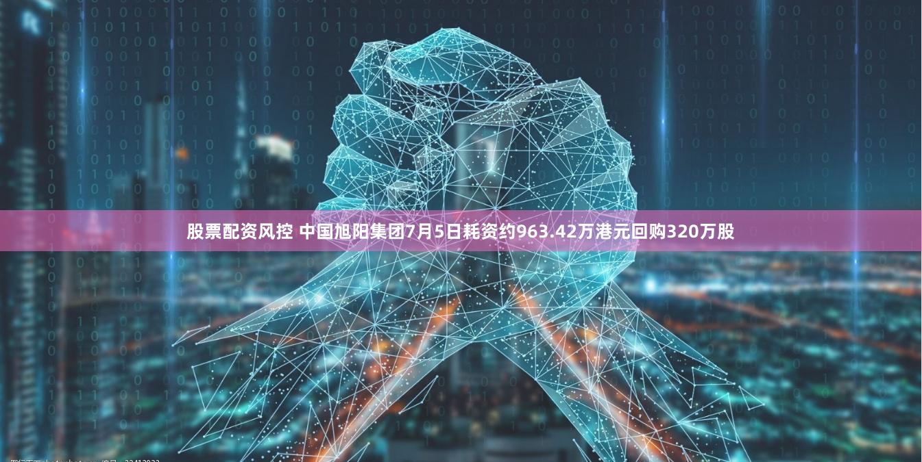 股票配资风控 中国旭阳集团7月5日耗资约963.42万港元回购320万股