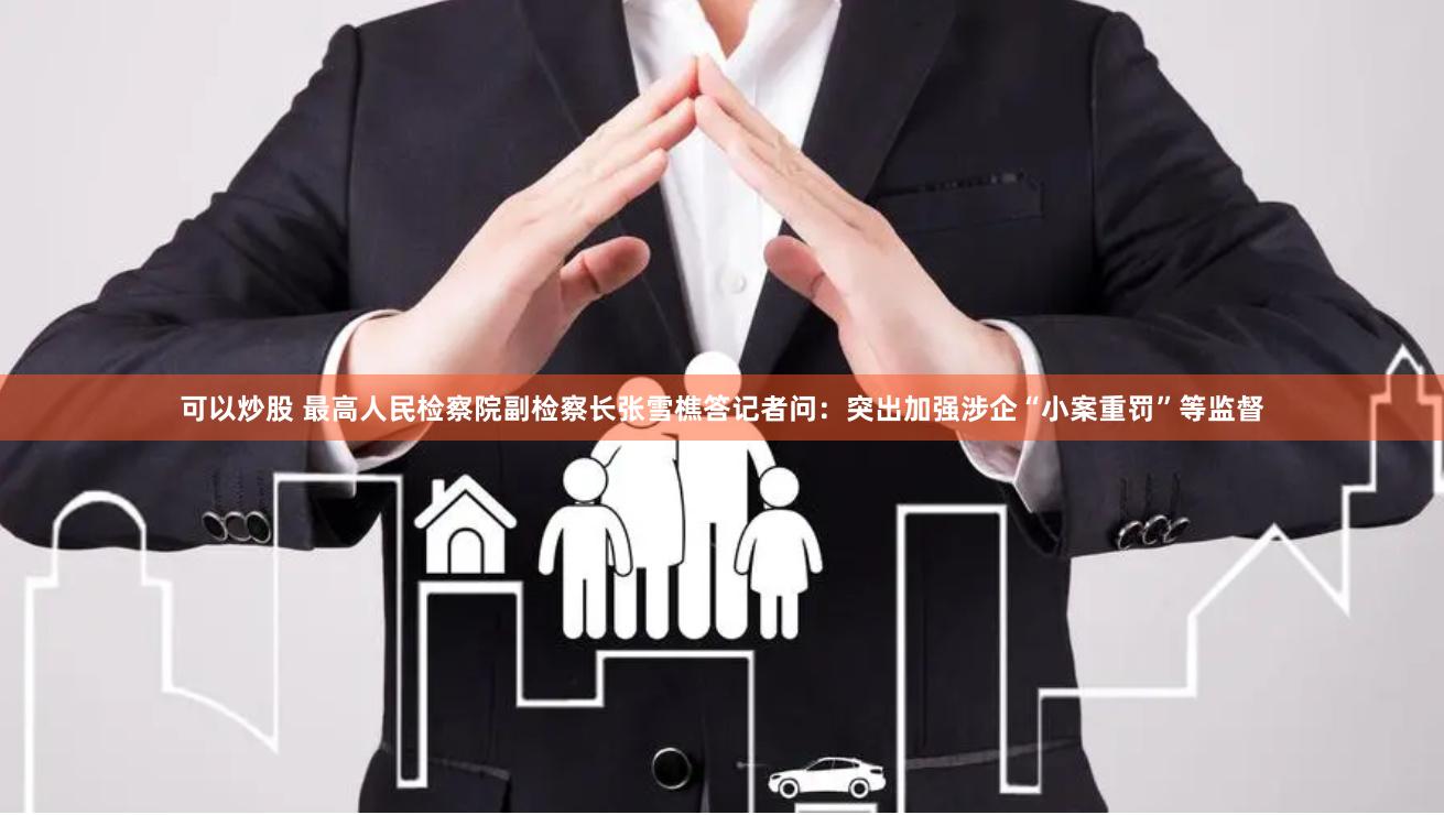 可以炒股 最高人民检察院副检察长张雪樵答记者问：突出加强涉企“小案重罚”等监督