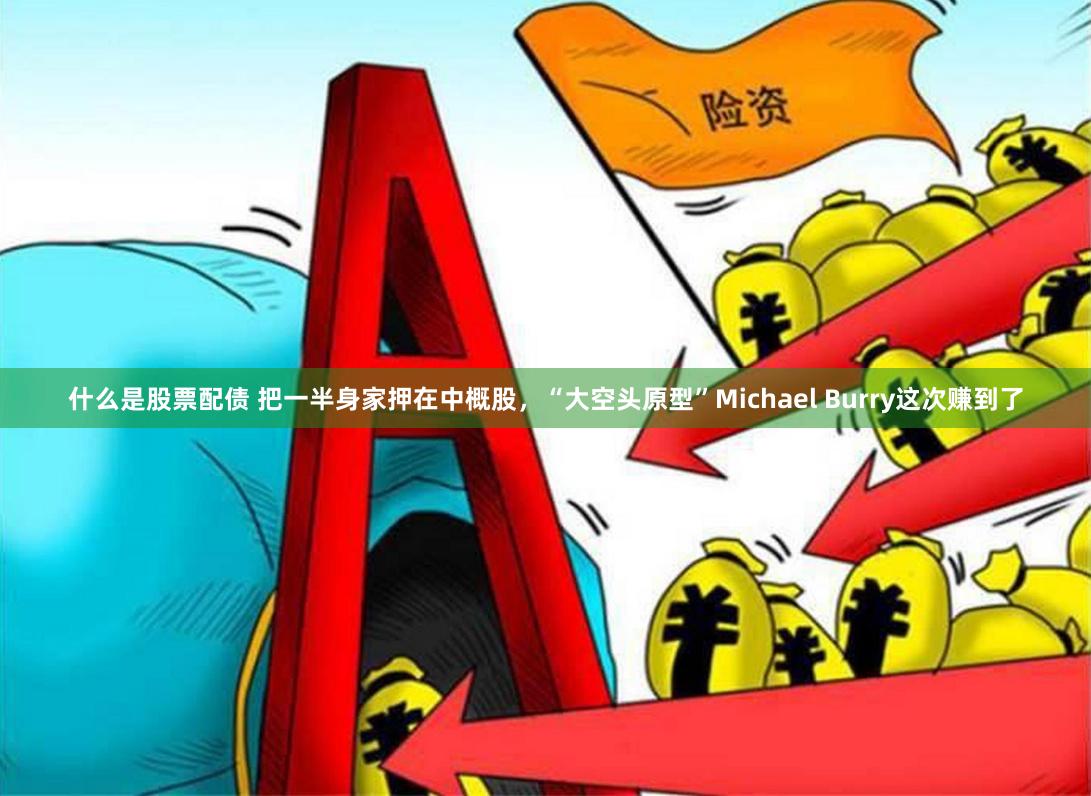 什么是股票配债 把一半身家押在中概股，“大空头原型”Michael Burry这次赚到了